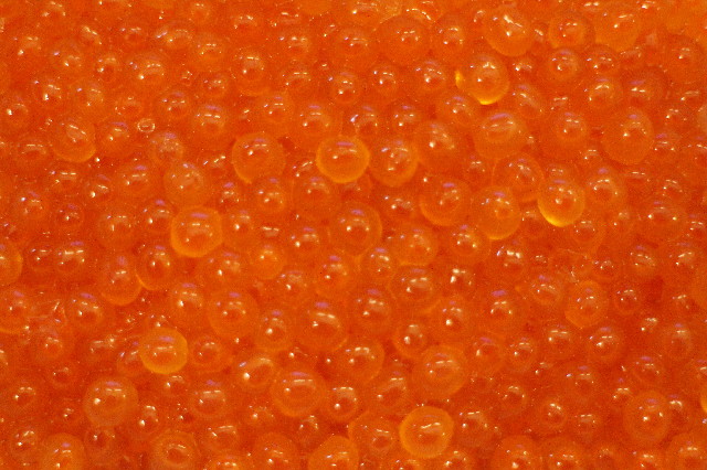 ファイル 3369-4.jpg