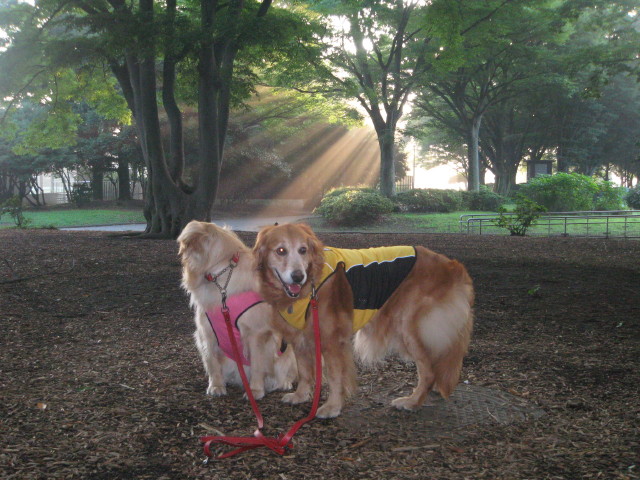 ファイル 337-2.jpg