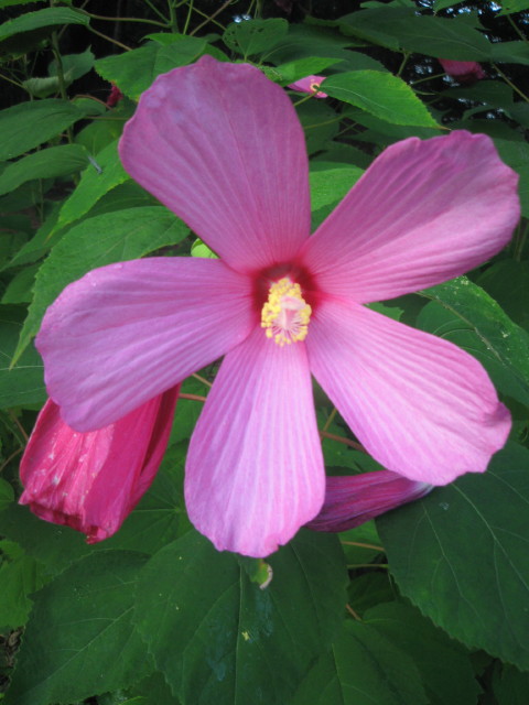 ファイル 337-3.jpg