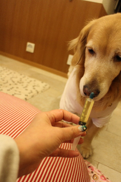 ファイル 3370-3.jpg