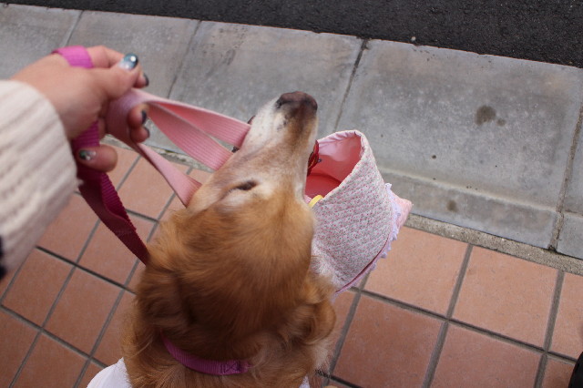 ファイル 3370-4.jpg