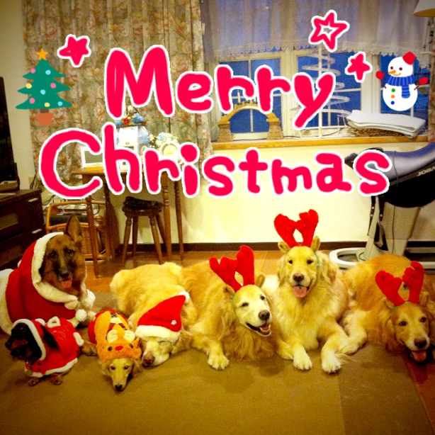 ファイル 3373-1.jpg