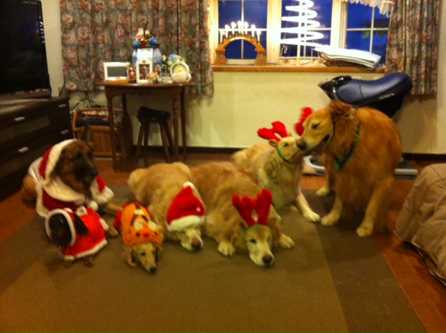 ファイル 3373-2.jpg