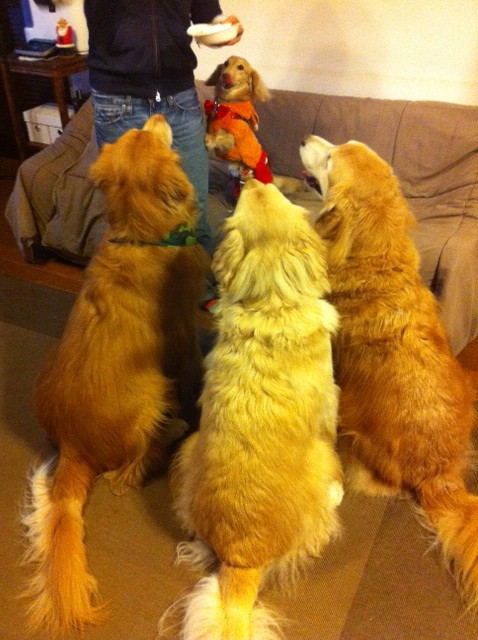 ファイル 3373-5.jpg