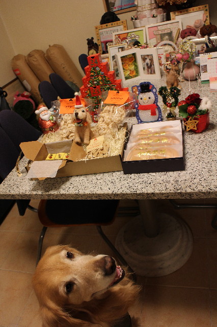 ファイル 3374-5.jpg