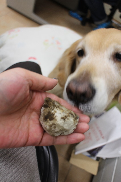 ファイル 3375-3.jpg