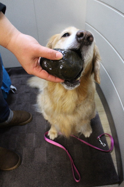 ファイル 3375-4.jpg