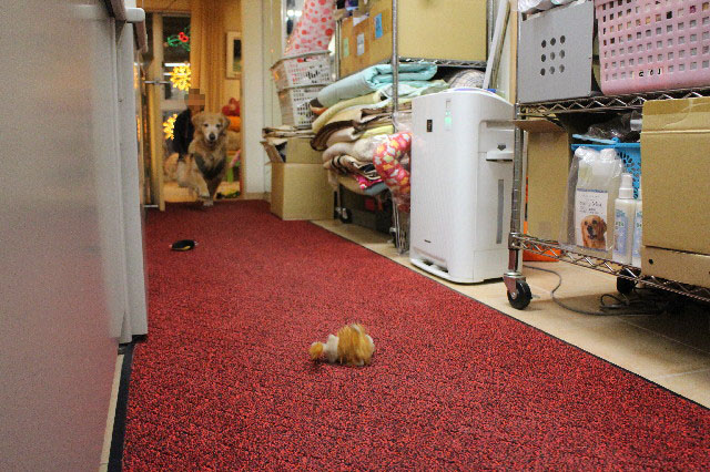 ファイル 3376-2.jpg