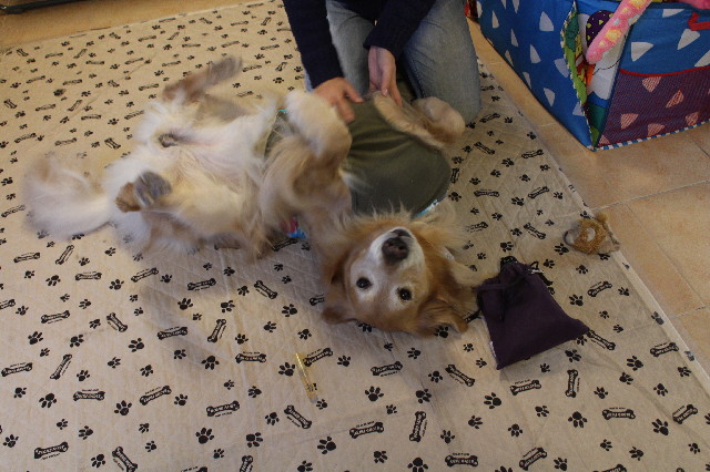 ファイル 3376-4.jpg