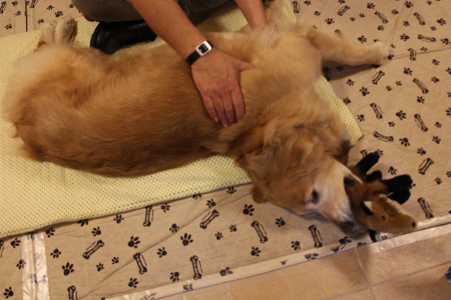 ファイル 3378-1.jpg