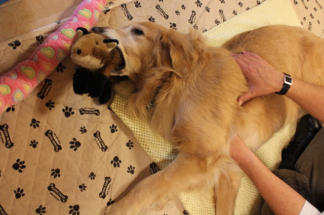 ファイル 3378-2.jpg