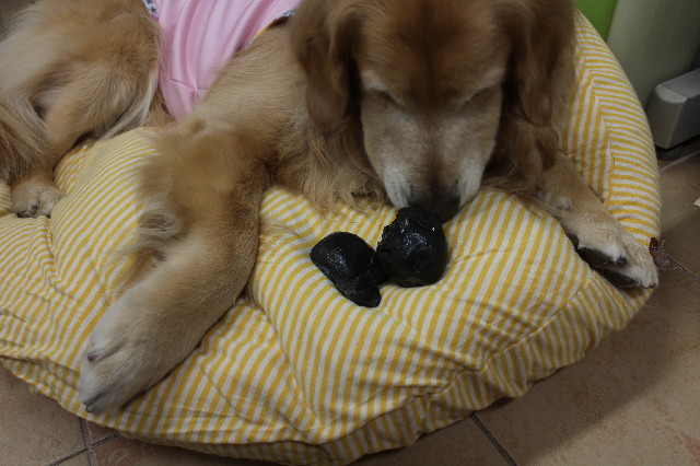 ファイル 3378-4.jpg