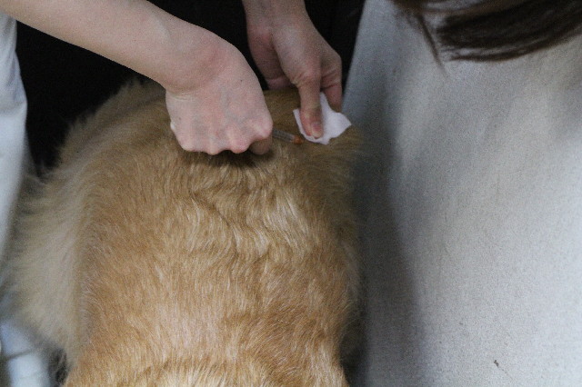 ファイル 3379-5.jpg