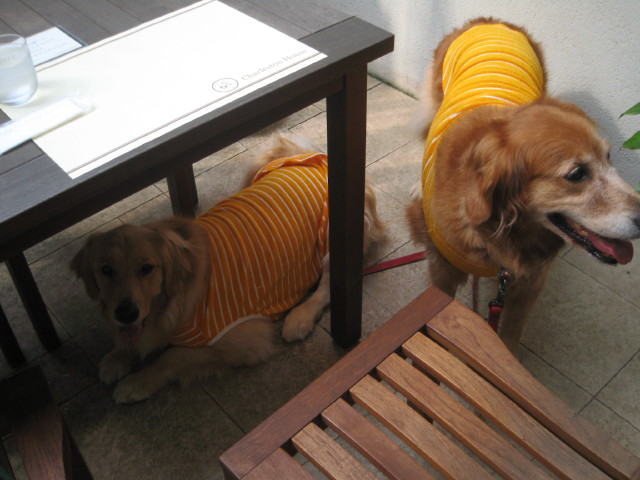 ファイル 338-2.jpg