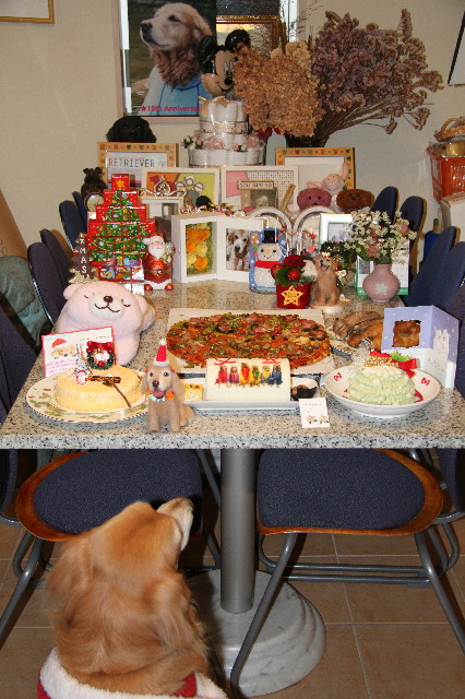 ファイル 3380-1.jpg