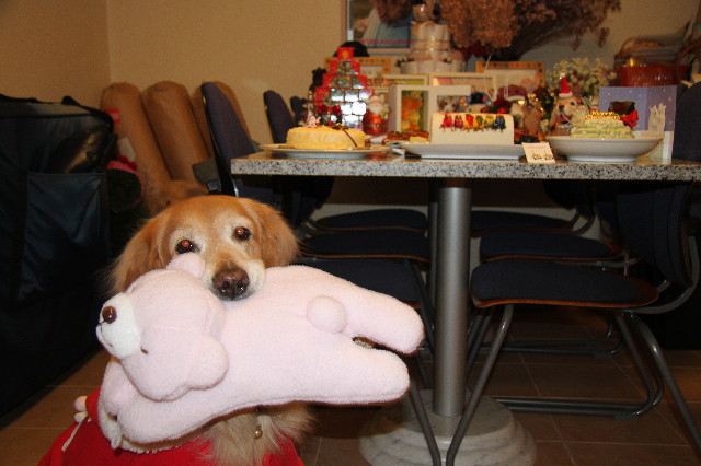 ファイル 3380-2.jpg