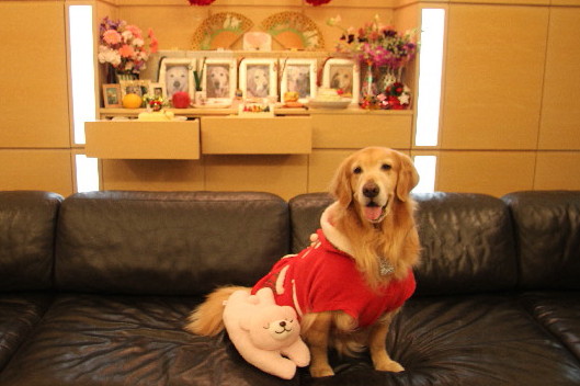 ファイル 3380-4.jpg