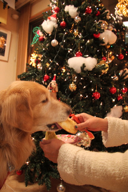 ファイル 3380-5.jpg