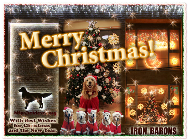 ファイル 3381-1.jpg