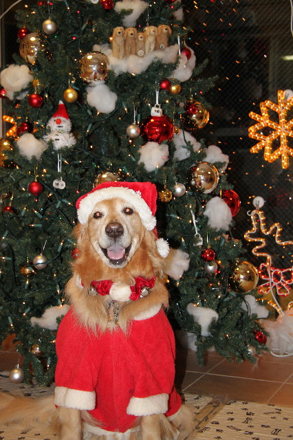 ファイル 3381-2.jpg