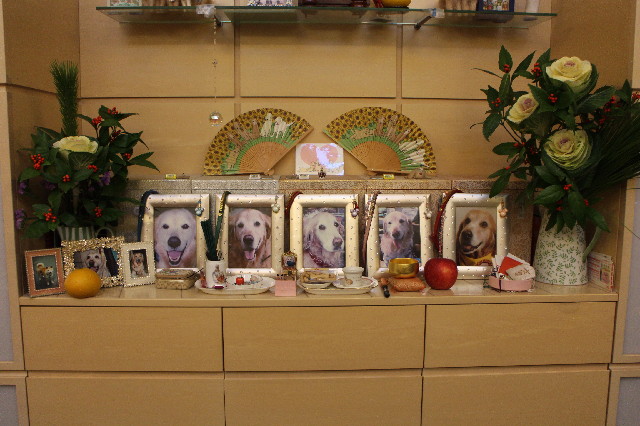 ファイル 3383-2.jpg