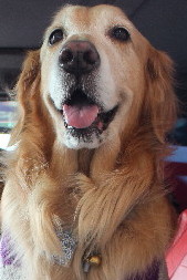 ファイル 3383-5.jpg