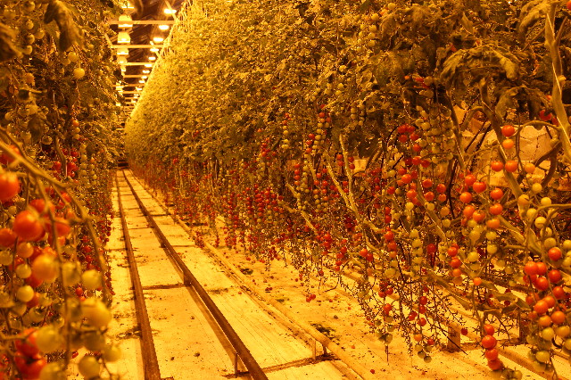 ファイル 3388-4.jpg