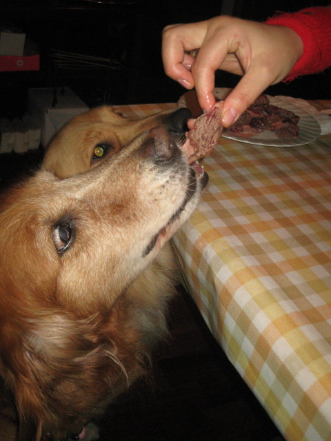 ファイル 339-2.jpg