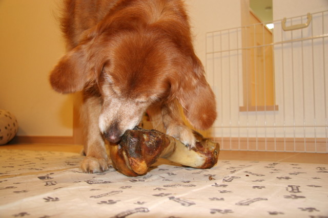 ファイル 339-4.jpg