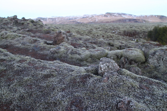 ファイル 3390-5.jpg