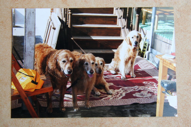 ファイル 341-1.jpg