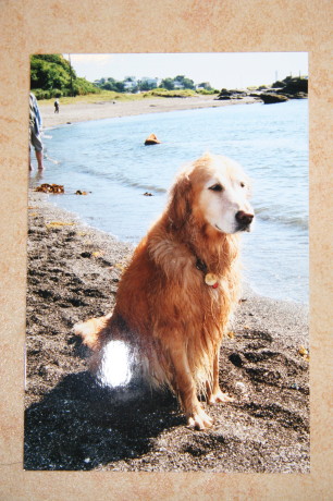 ファイル 341-3.jpg