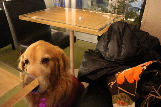 ファイル 3419-1.jpg