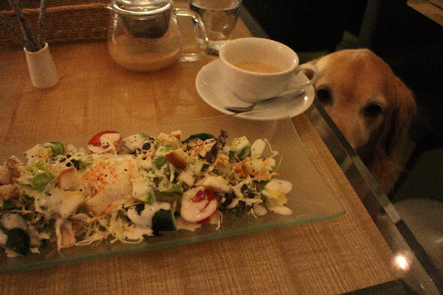 ファイル 3419-2.jpg