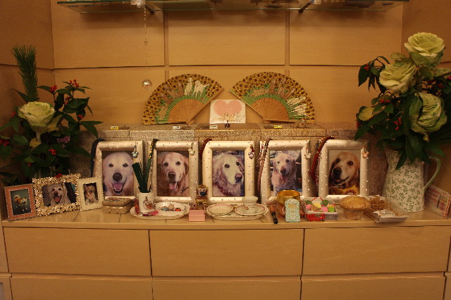 ファイル 3419-4.jpg