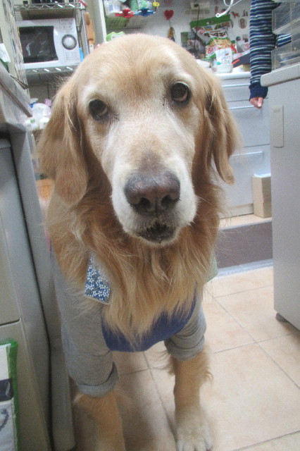 ファイル 3422-1.jpg