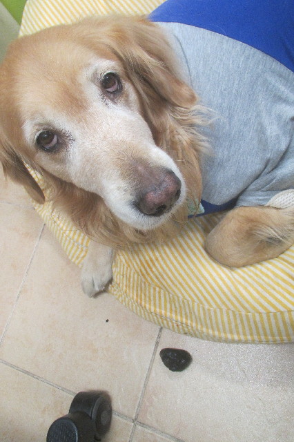 ファイル 3422-2.jpg