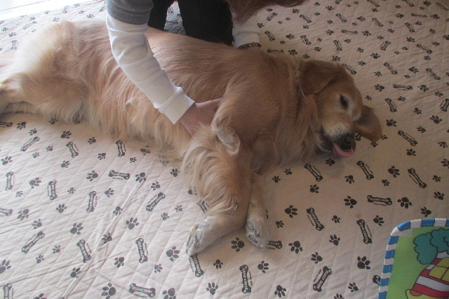 ファイル 3422-4.jpg