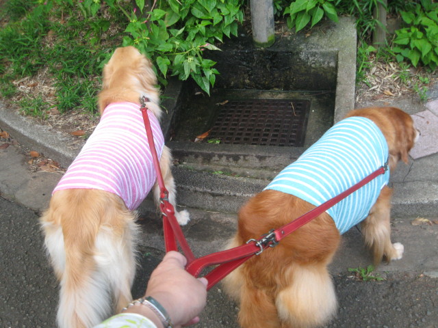 ファイル 343-1.jpg