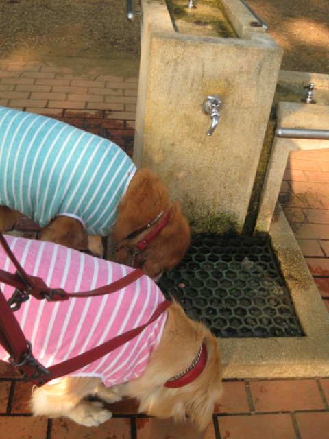 ファイル 343-2.jpg