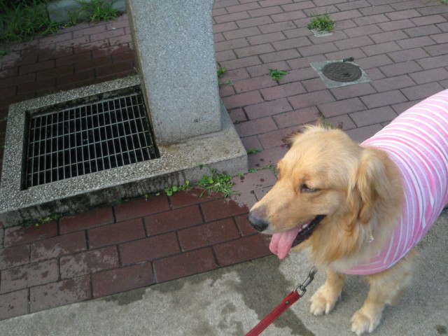 ファイル 343-4.jpg