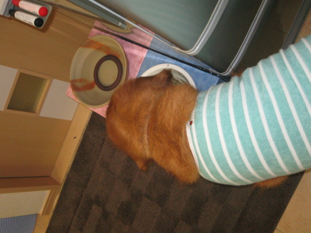 ファイル 343-5.jpg