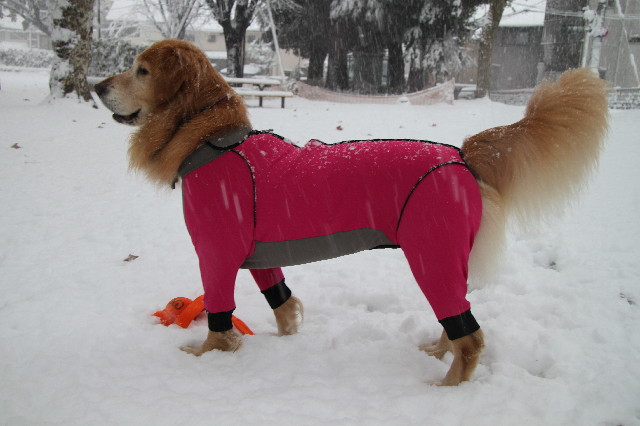 ファイル 3431-2.jpg