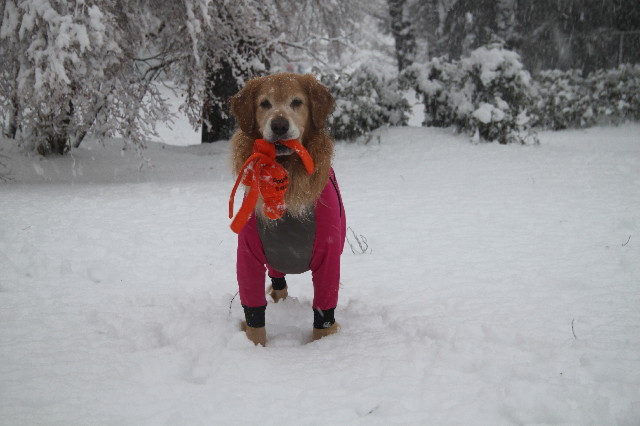 ファイル 3431-4.jpg