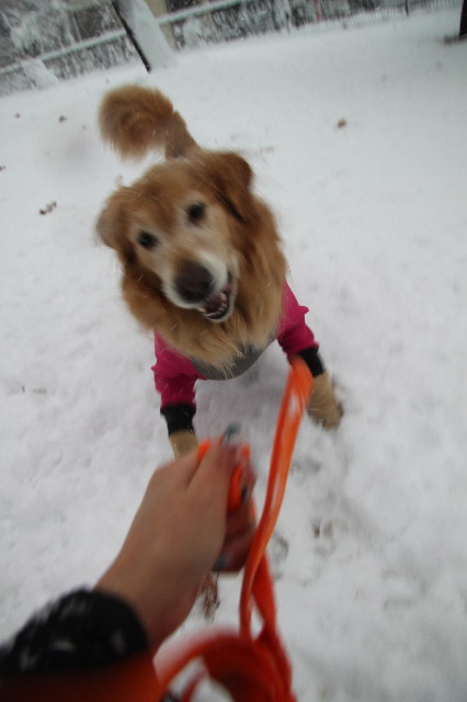 ファイル 3431-5.jpg