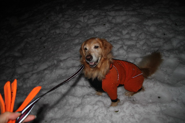 ファイル 3432-2.jpg