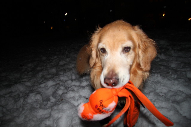 ファイル 3432-3.jpg