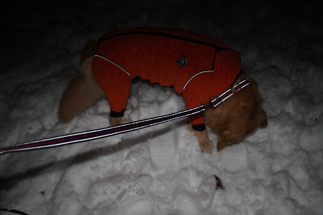 ファイル 3432-4.jpg