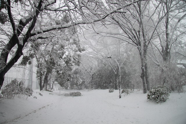 ファイル 3433-1.jpg