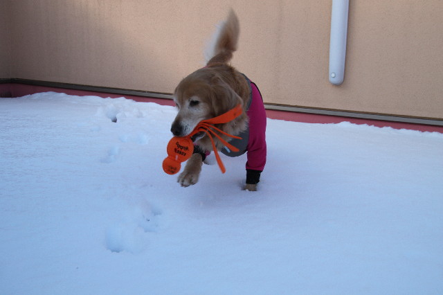 ファイル 3436-3.jpg